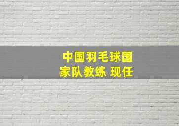 中国羽毛球国家队教练 现任